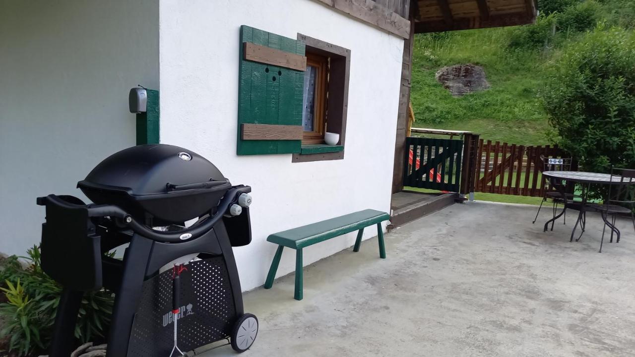 Petit Savoyard Chalet *